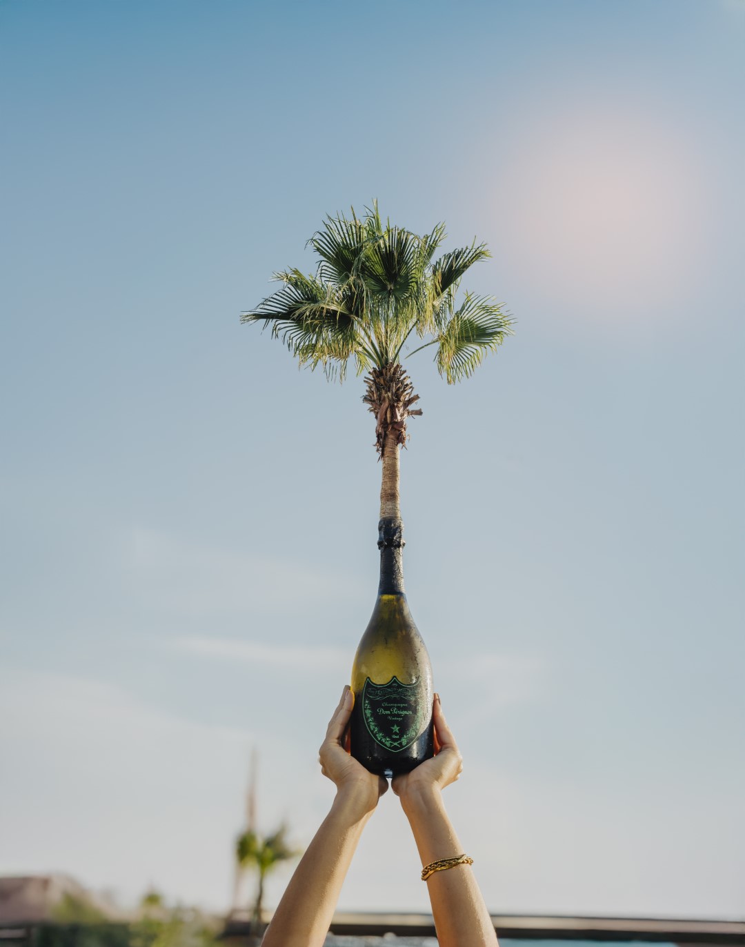 Signature Events Gallery 40